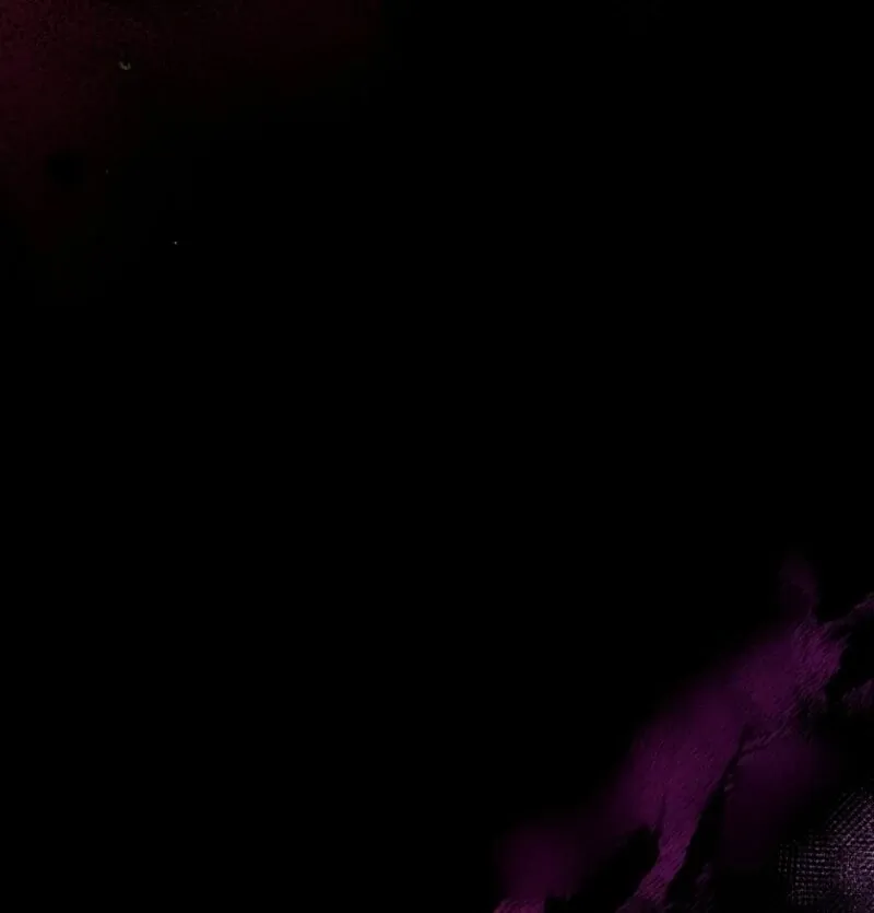 Can We Become a Family? Chapter 160 page 13 - 