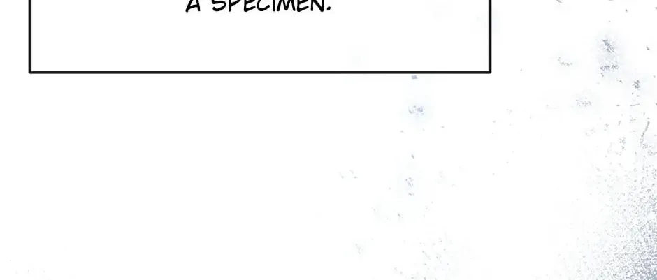 Can We Become Family? Chapter 81 page 34 - 