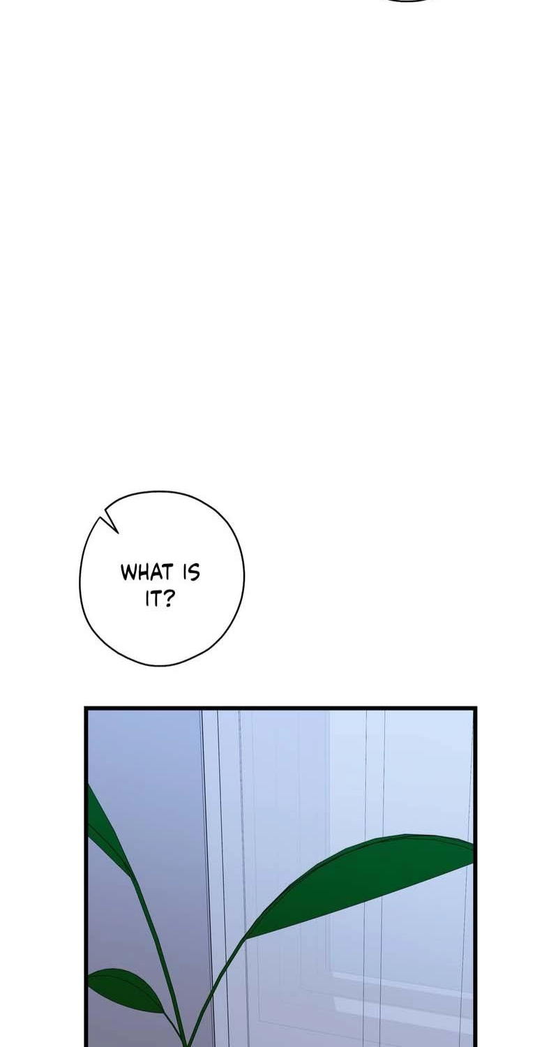 Candy Contract Chapter 17 page 22 - 
