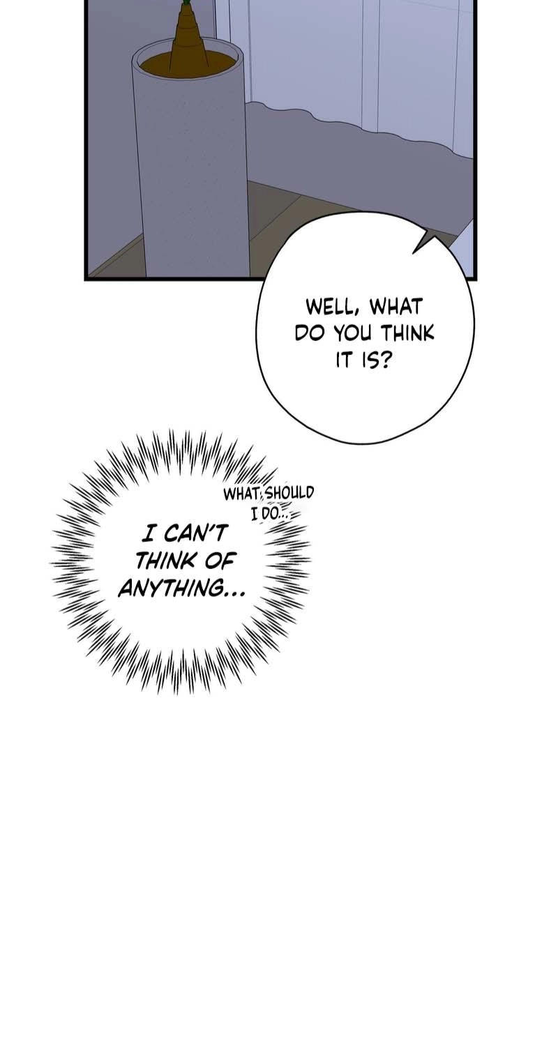 Candy Contract Chapter 17 page 23 - 