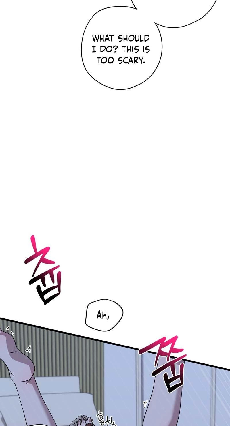 Candy Contract Chapter 17 page 42 - 