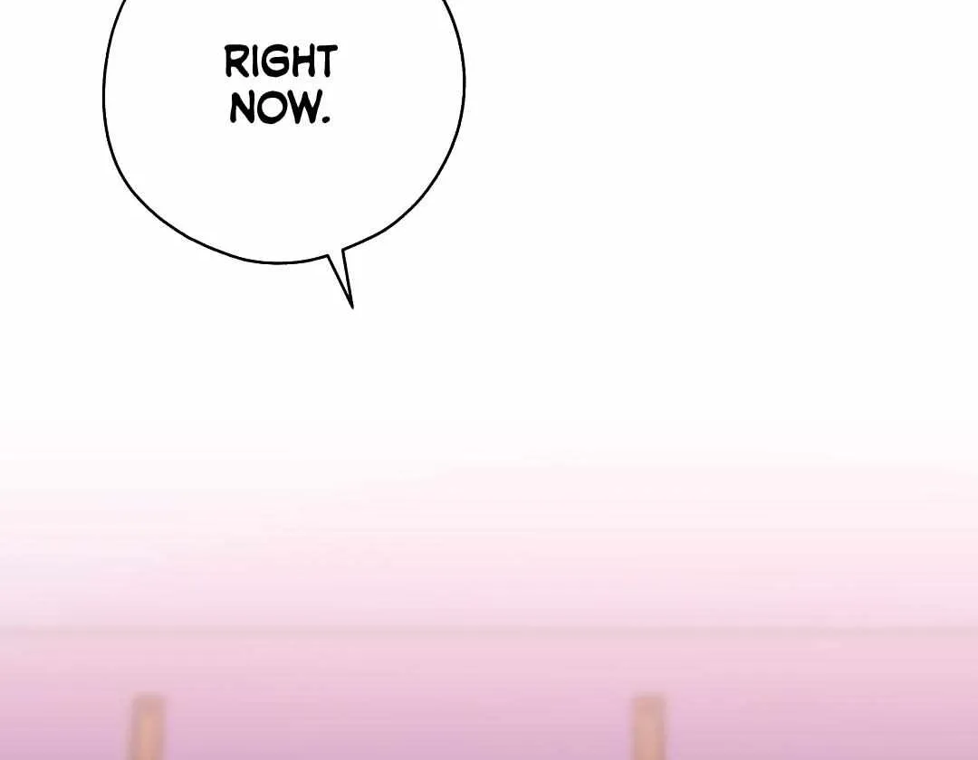 Candy Contract Chapter 6 page 146 - 