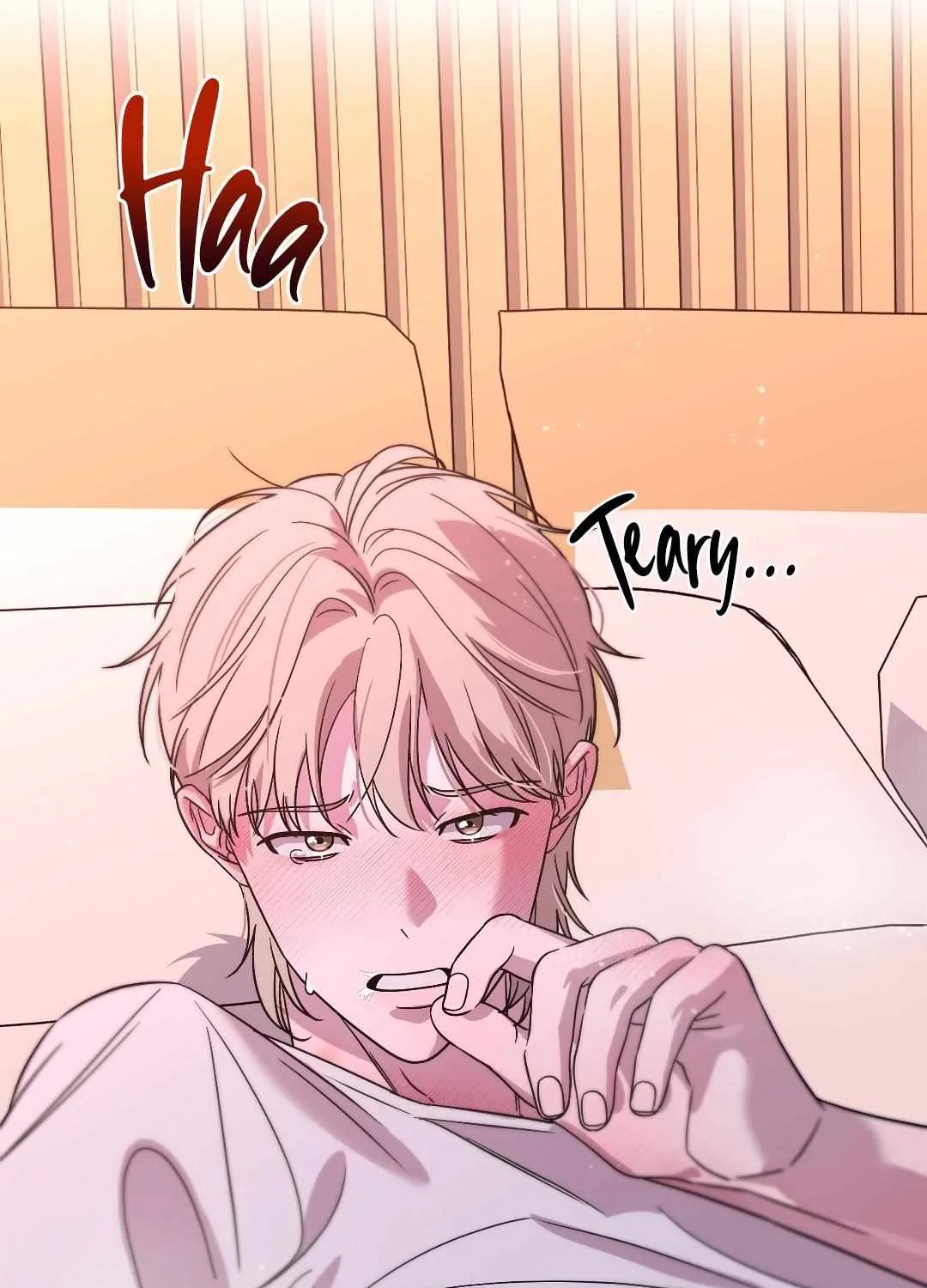Candy Contract Chapter 7 page 133 - 