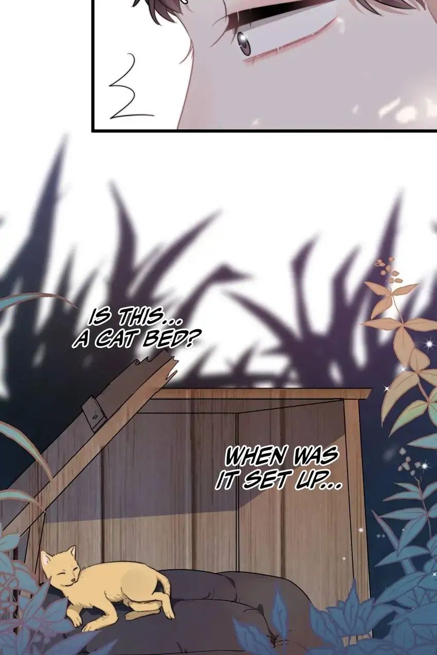 Read Can’t Say No chapter 11 image 38 on Lezhin