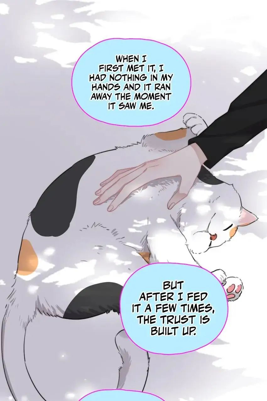 Read Can’t Say No chapter 11 image 44 on Lezhin