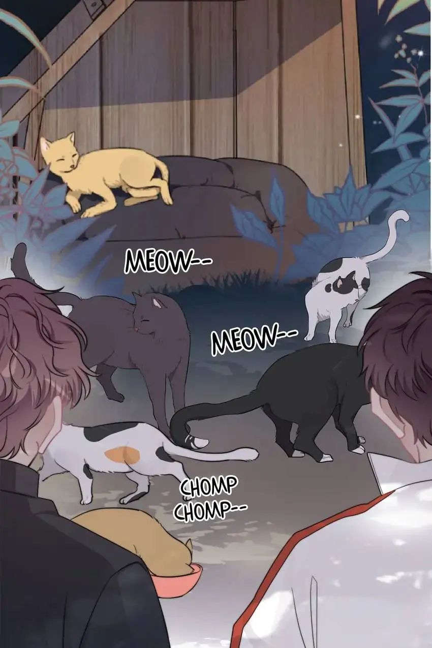 Read Can’t Say No chapter 11 image 49 on Lezhin