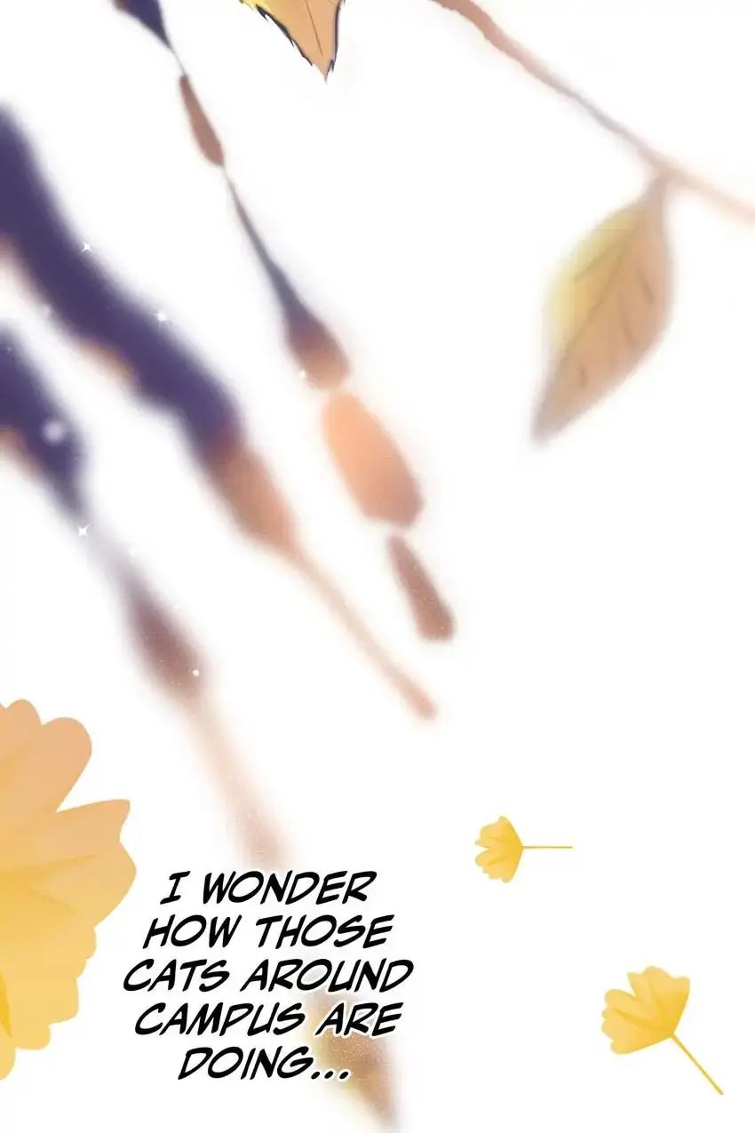 Read Can’t Say No chapter 11 image 5 on Lezhin