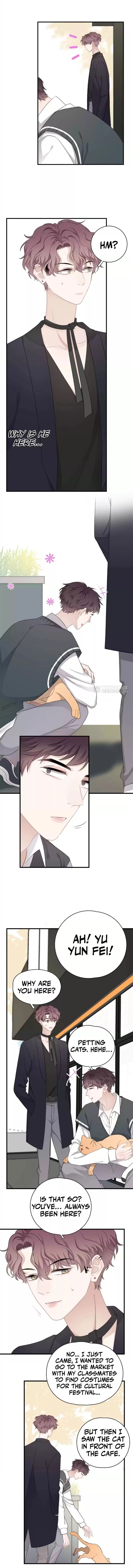 Read Can’t Say No chapter 19 image 6 on Lezhin