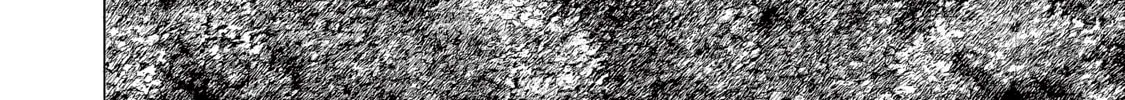 Read Canzoniere chapter 1 image 42 on Lezhin