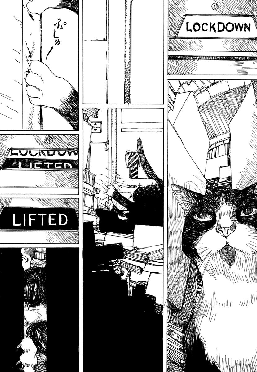 Read Captain Momo