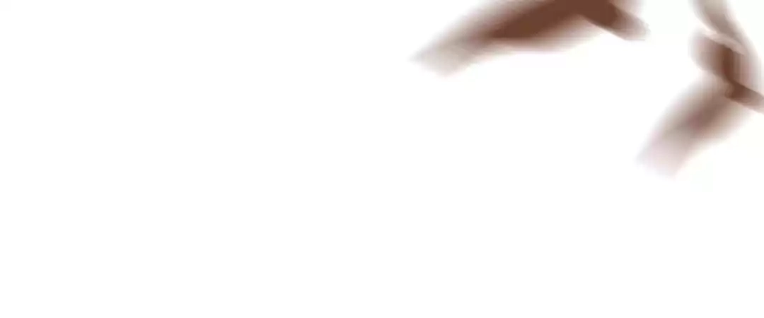 Read Captain