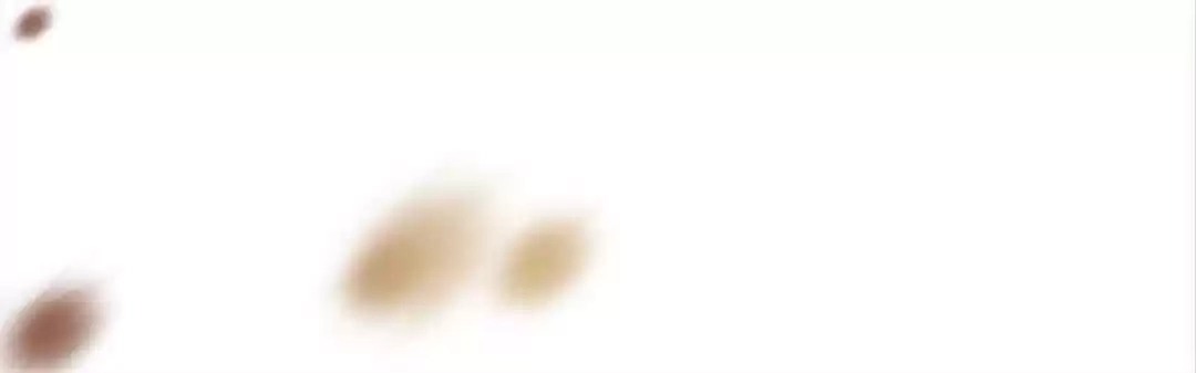 Read Captain