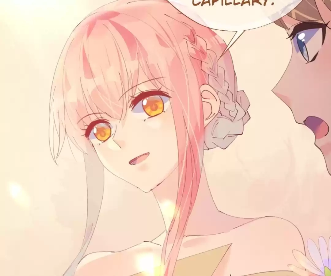 Read Captain