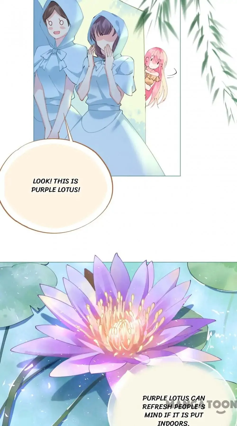 Read Captain