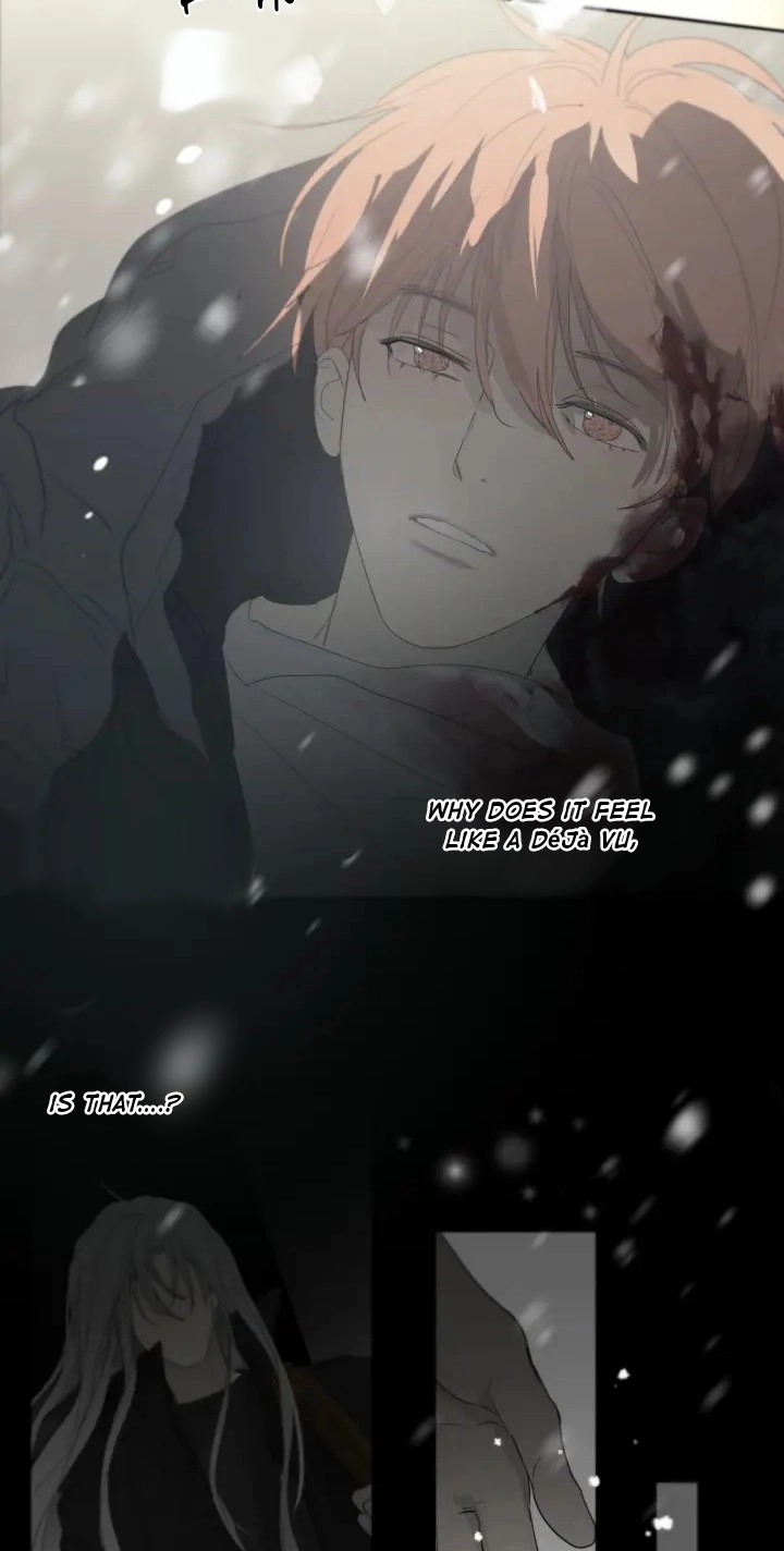 Read Captivated by the Moonlight chapter 16 image 10 on Lezhin