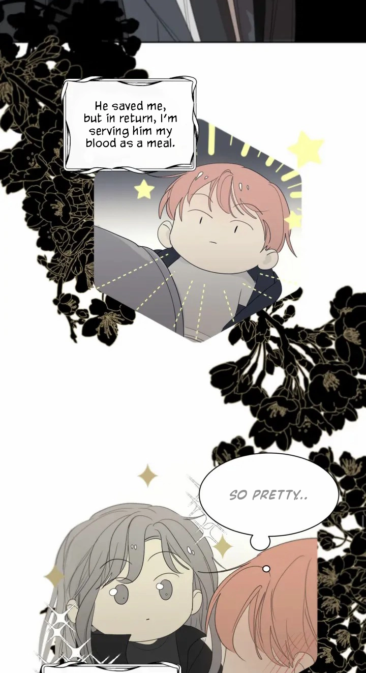 Read Captivated by the Moonlight chapter 16 image 14 on Lezhin