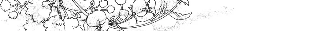 Read Cardcaptor Sakura: Clear Card Arc chapter 28 image 37 on Lezhin