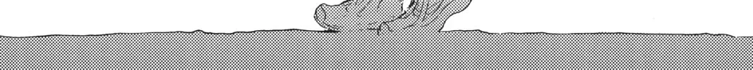 Read Cardcaptor Sakura: Clear Card Arc chapter 29 image 23 on Lezhin