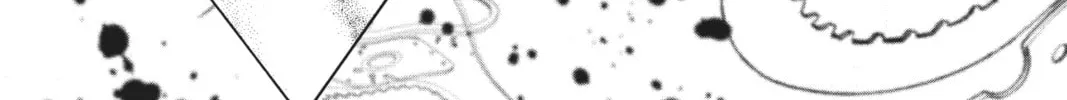 Read Cardcaptor Sakura: Clear Card Arc chapter 76 image 11 on Lezhin
