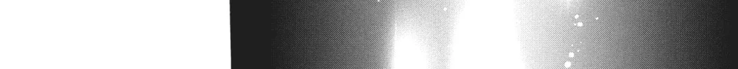 Read Cardcaptor Sakura: Clear Card Arc chapter 79 image 15 on Lezhin