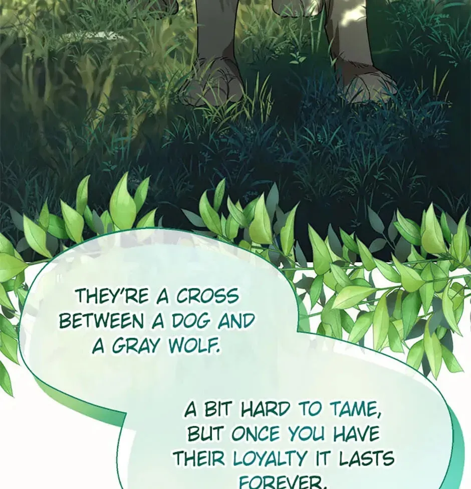 Read Carefully Choosing a Husband chapter 23 image 116 on Lezhin