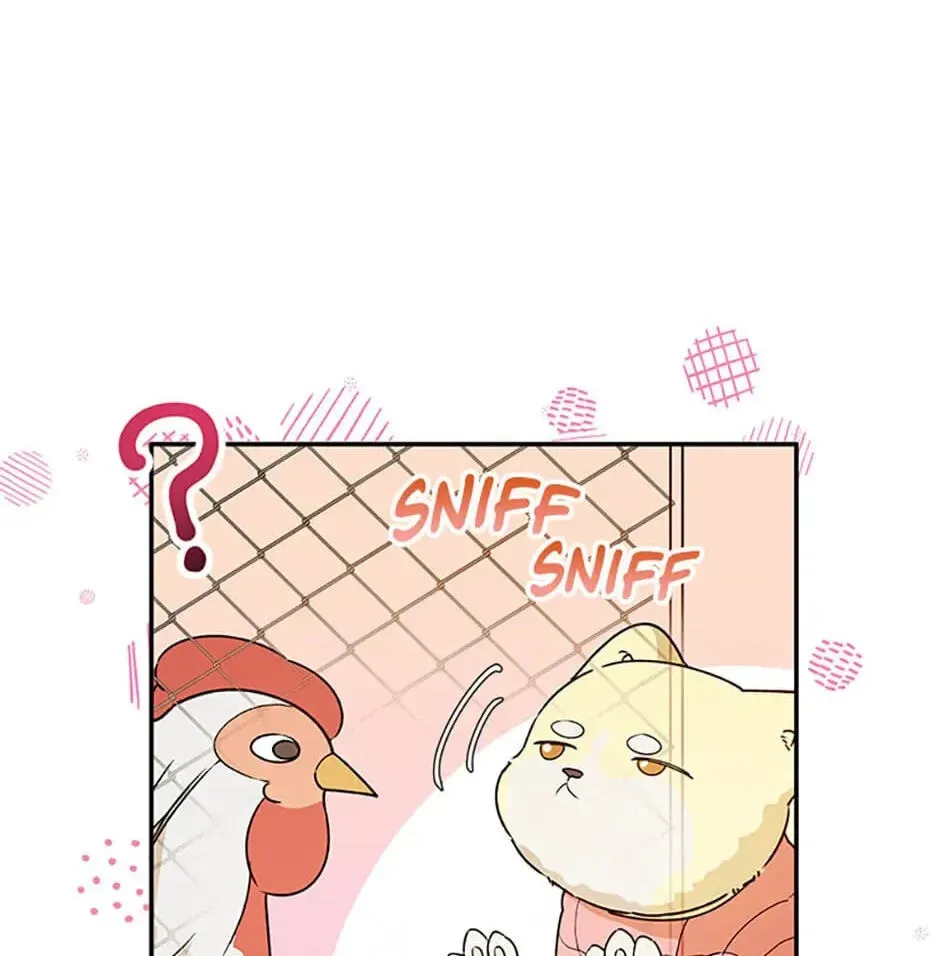 Read Carefully Choosing a Husband chapter 33 image 71 on Lezhin