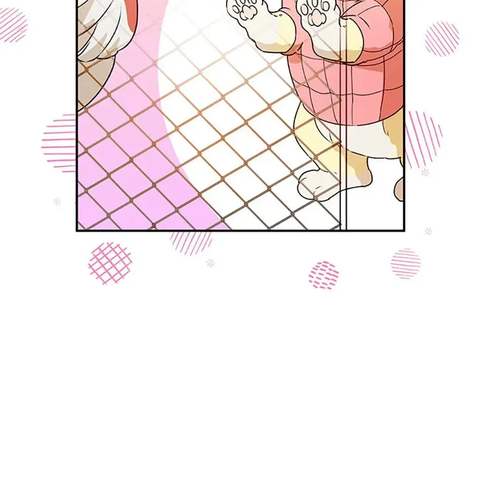 Read Carefully Choosing a Husband chapter 33 image 72 on Lezhin