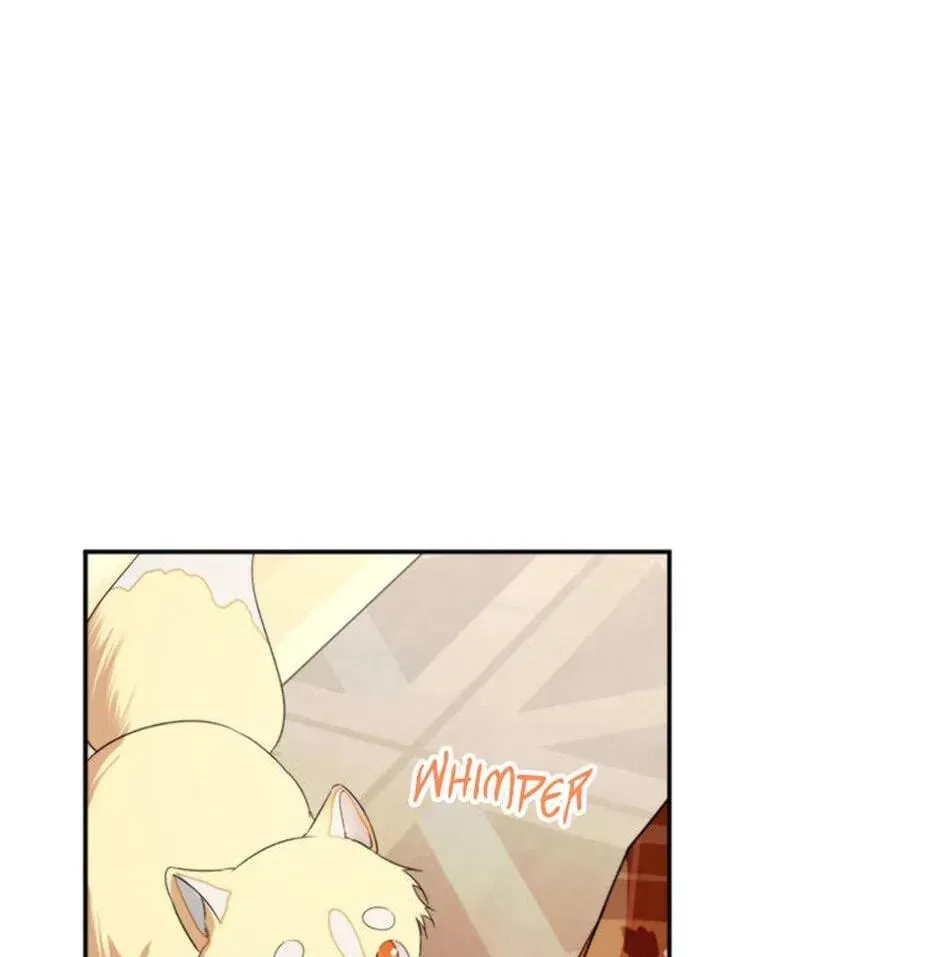 Read Carefully Choosing a Husband chapter 60 image 58 on Lezhin
