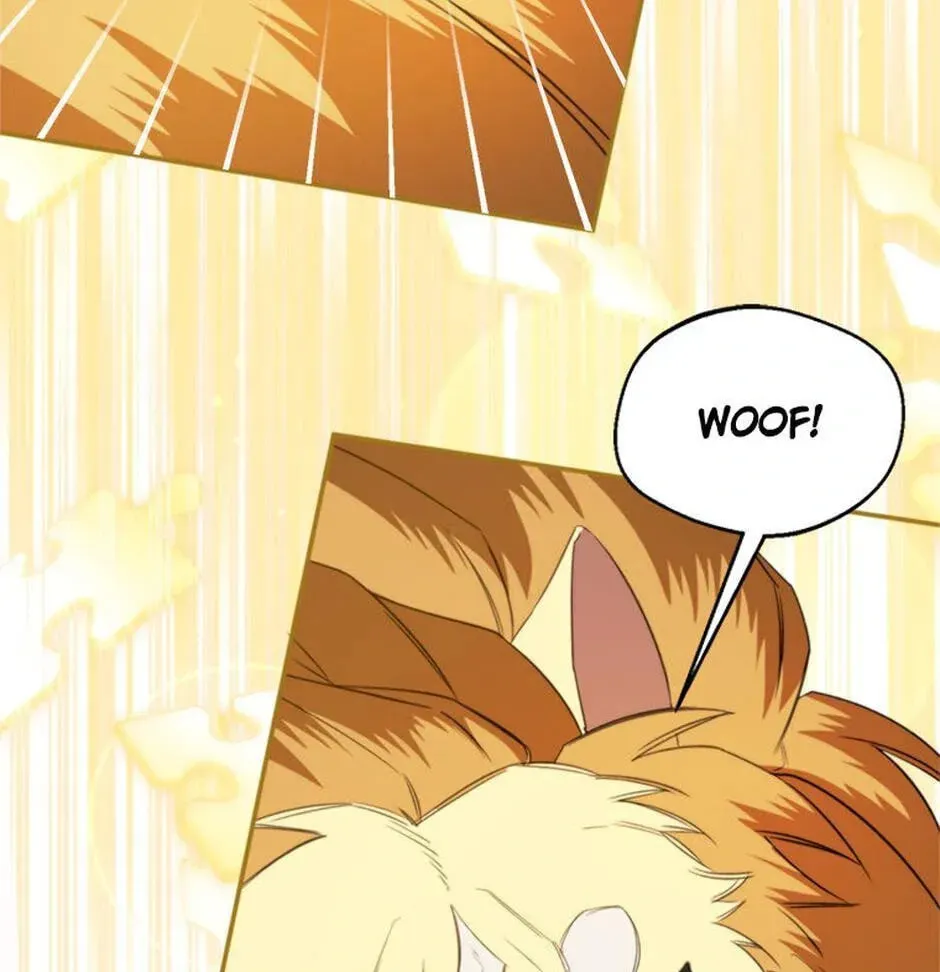 Read Carefully Choosing a Husband chapter 68 image 144 on Lezhin