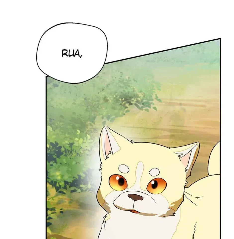 Read Carefully Choosing a Husband chapter 69 image 136 on Lezhin