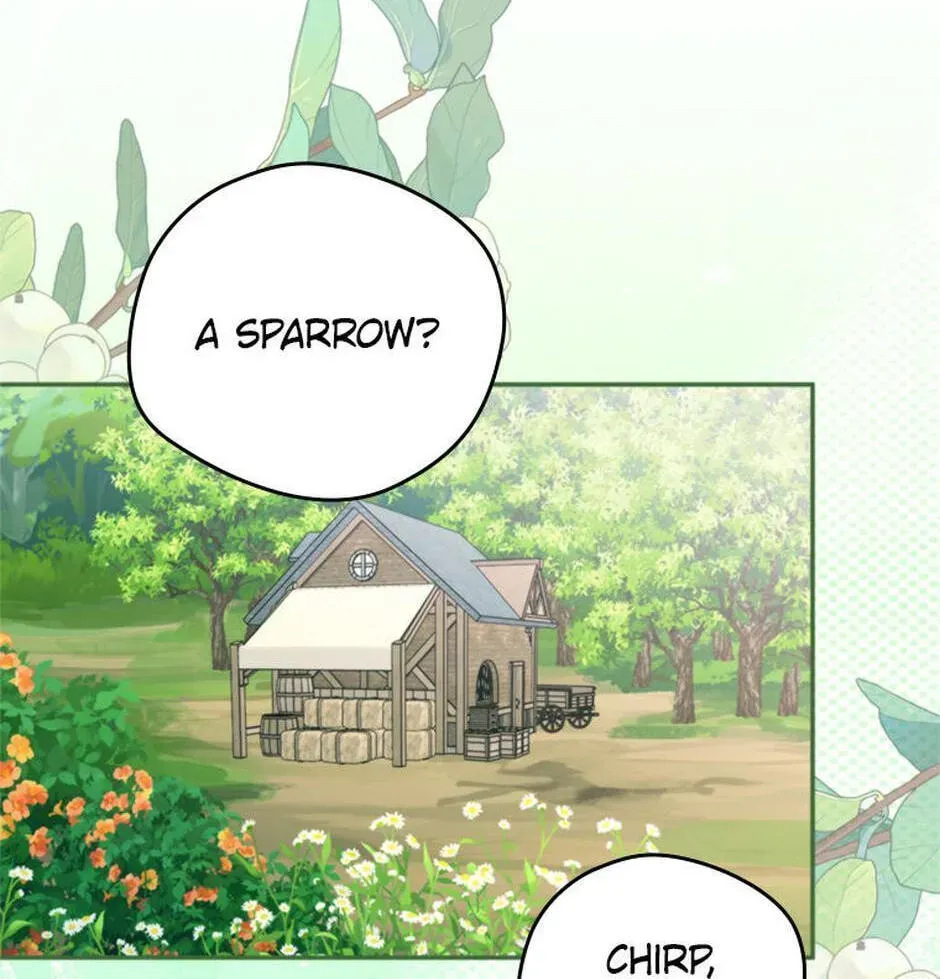 Read Carefully Choosing a Husband chapter 70 image 111 on Lezhin