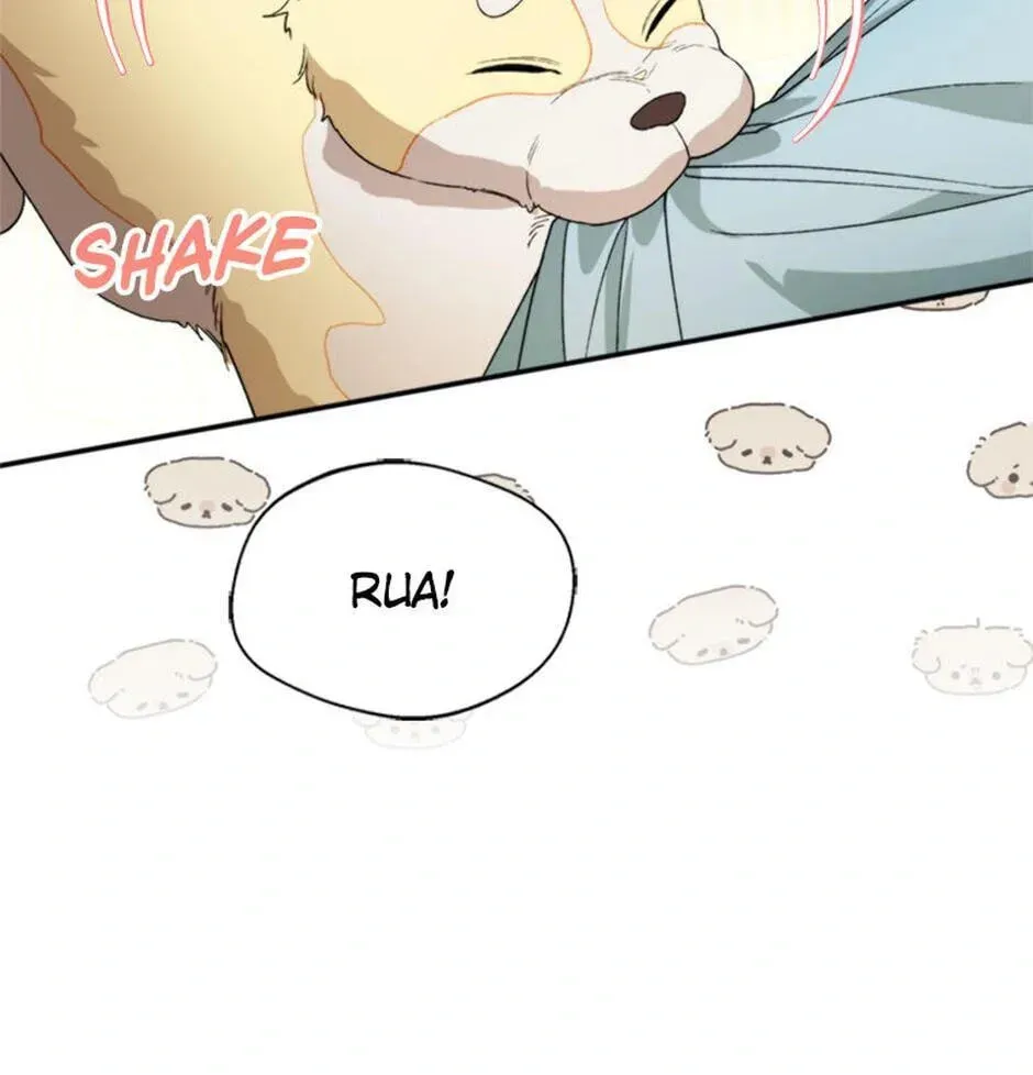 Read Carefully Choosing a Husband chapter 71 image 16 on Lezhin
