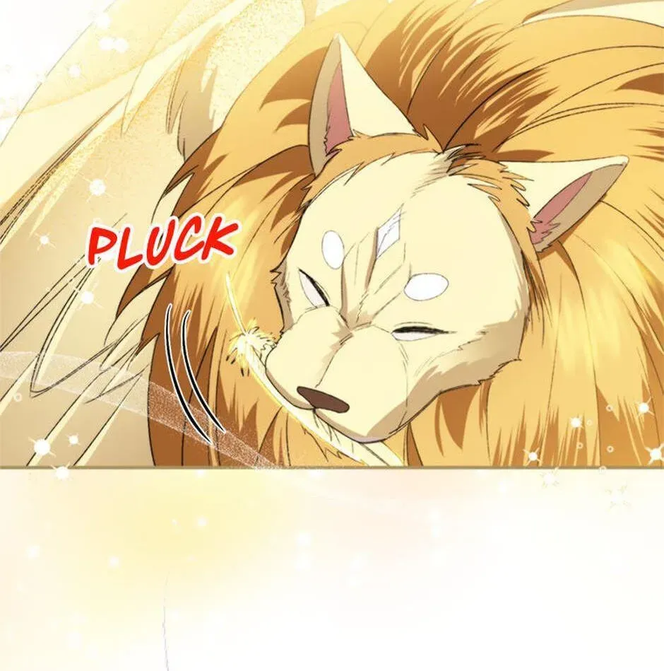 Read Carefully Choosing a Husband chapter 71 image 39 on Lezhin
