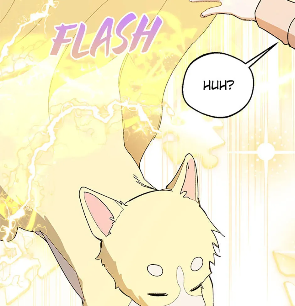 Read Carefully Choosing a Husband chapter 79 image 48 on Lezhin