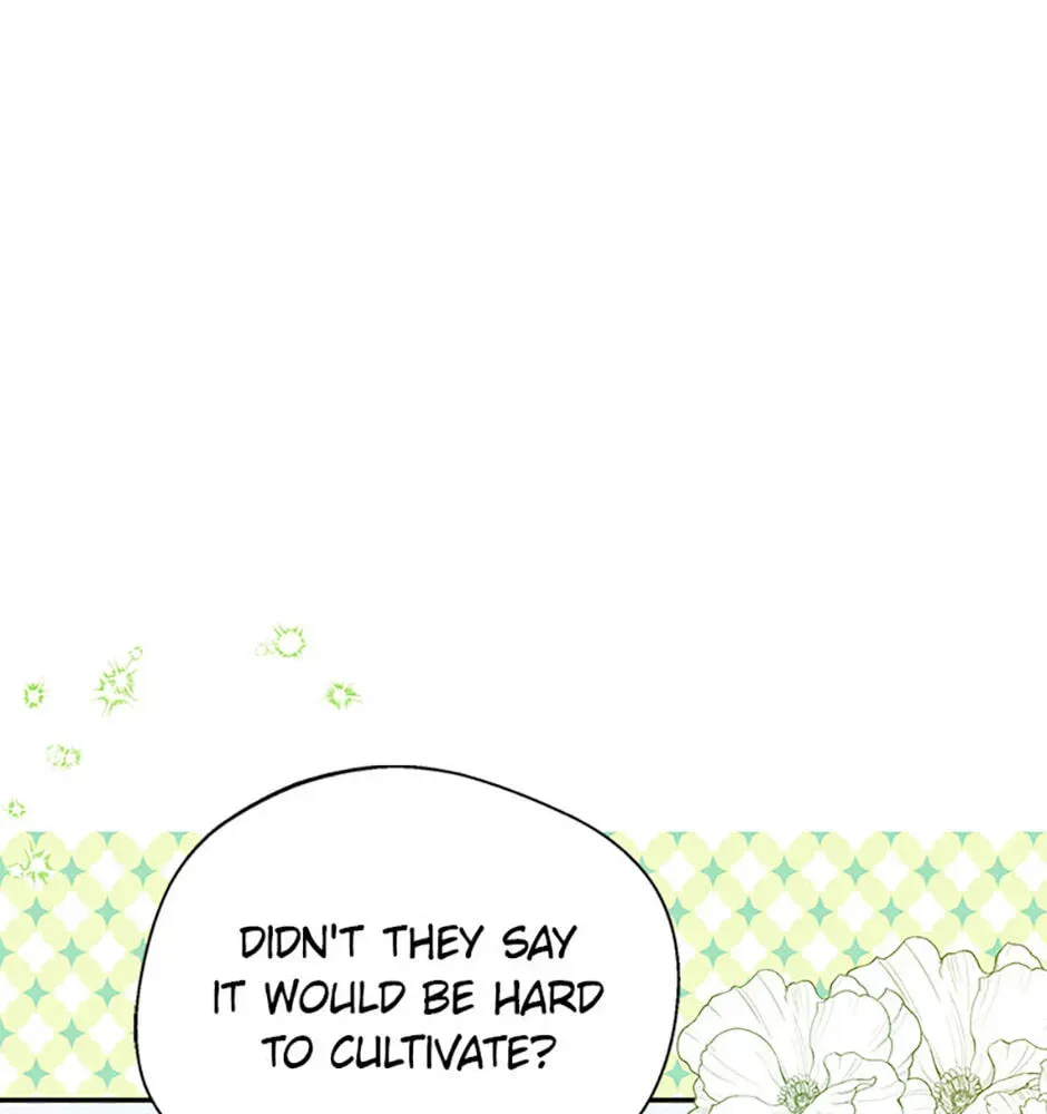 Read Carefully Choosing a Husband chapter 80 image 46 on Lezhin