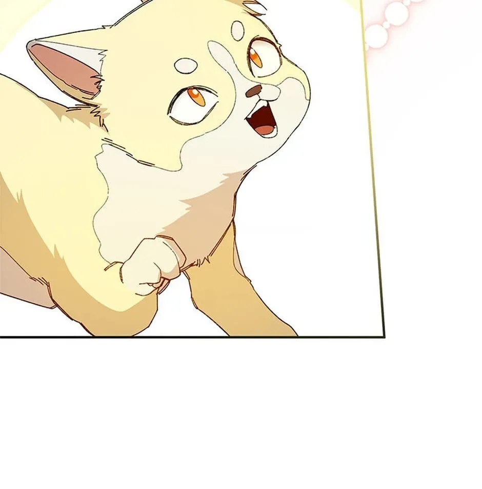 Read Carefully Choosing a Husband chapter 83 image 127 on Lezhin