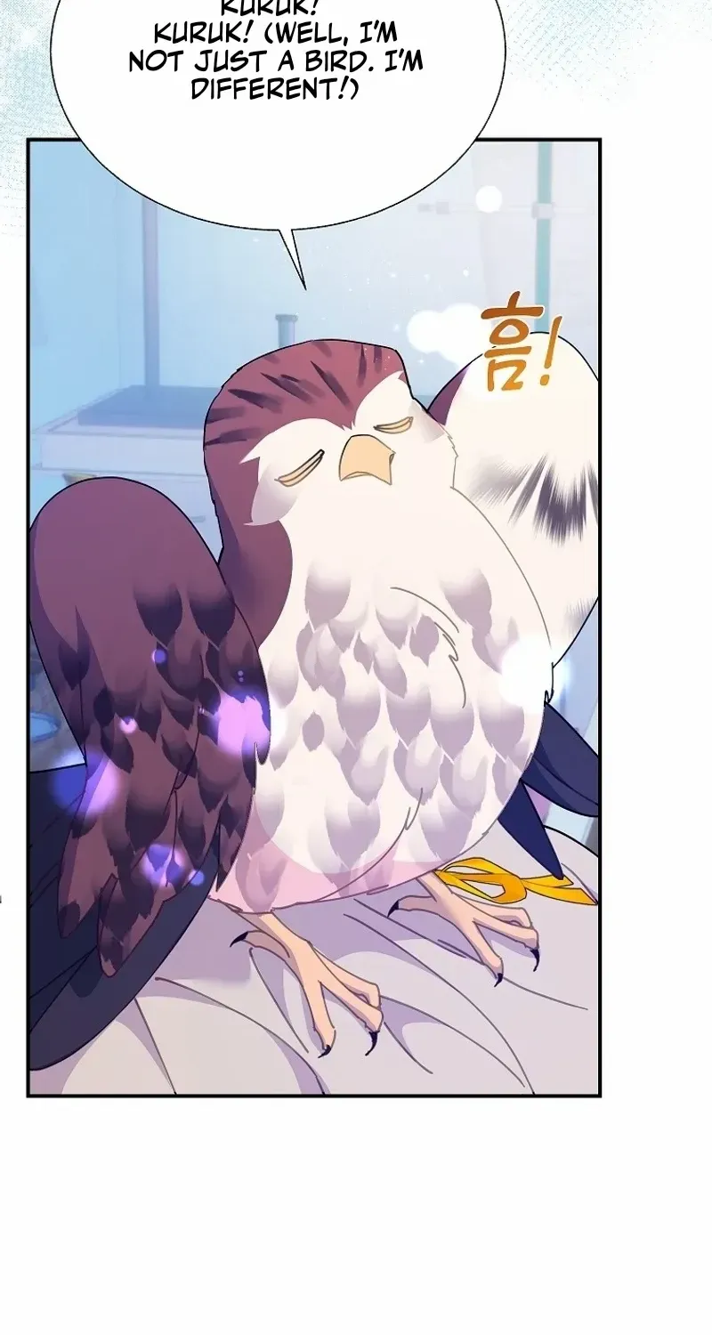Read CARRIER FALCON PRINCESS chapter 112 image 67 on Lezhin