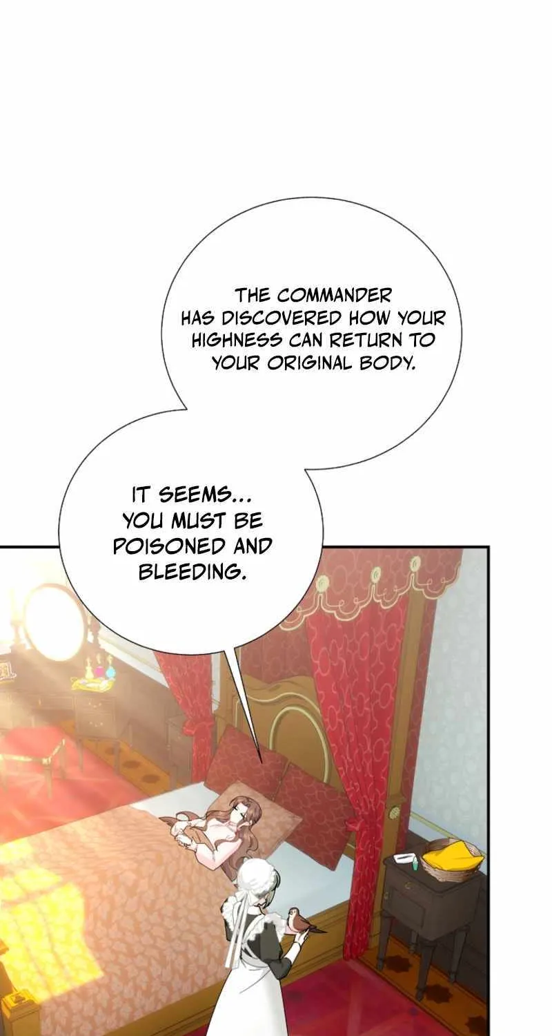 Read CARRIER FALCON PRINCESS chapter 125 image 11 on Lezhin