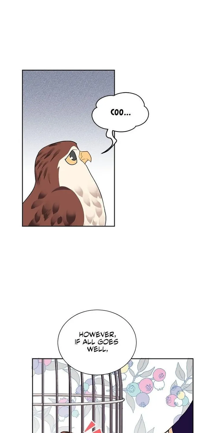 Read CARRIER FALCON PRINCESS chapter 13 image 61 on Lezhin