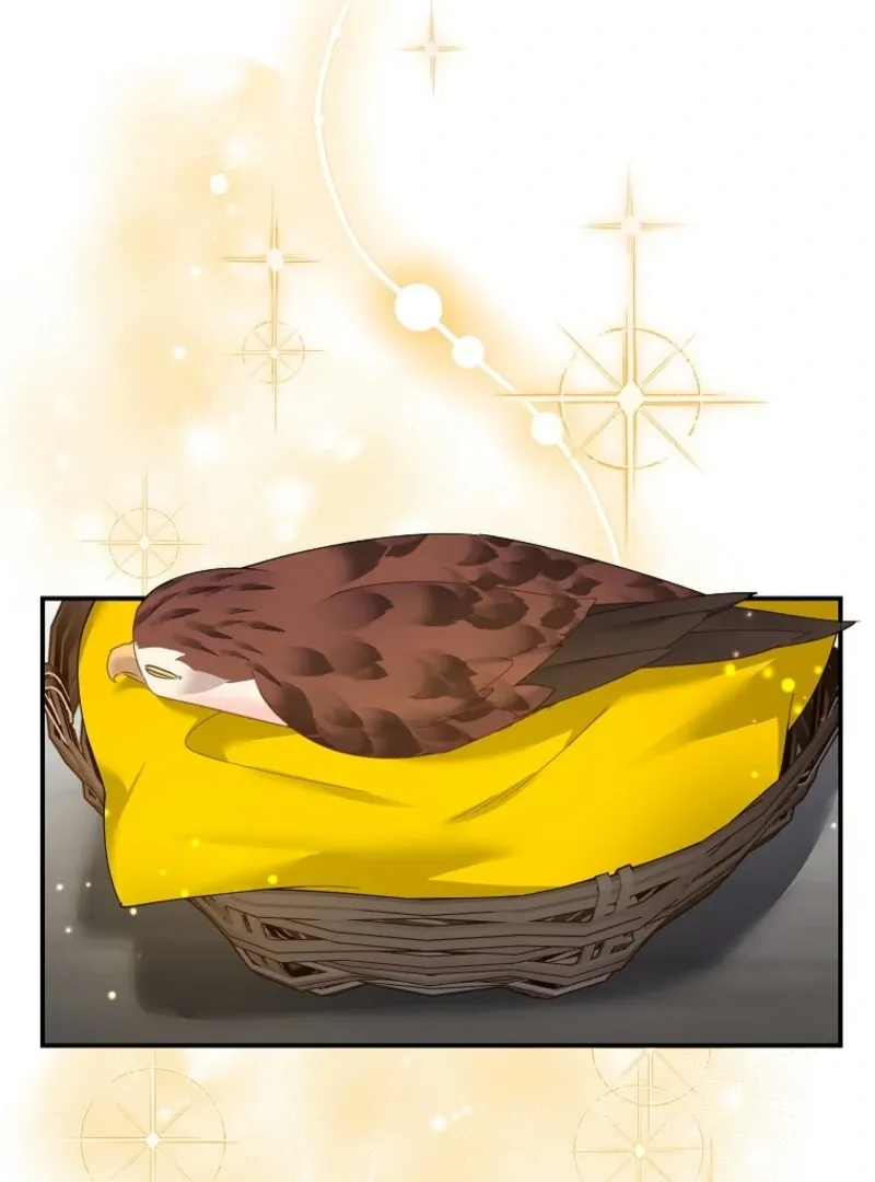 Read CARRIER FALCON PRINCESS chapter 136 image 4 on Lezhin