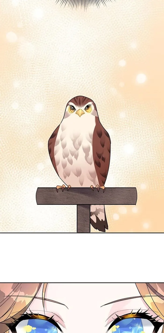 Read CARRIER FALCON PRINCESS chapter 14 image 1 on Lezhin
