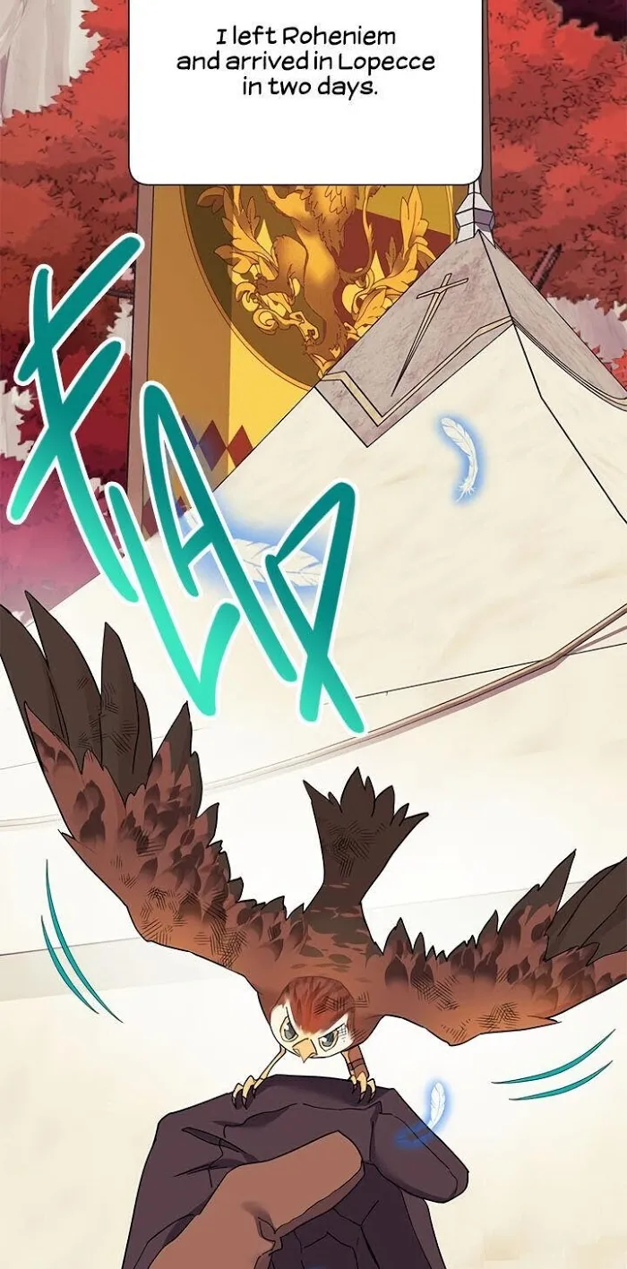 Read CARRIER FALCON PRINCESS chapter 15 image 1 on Lezhin