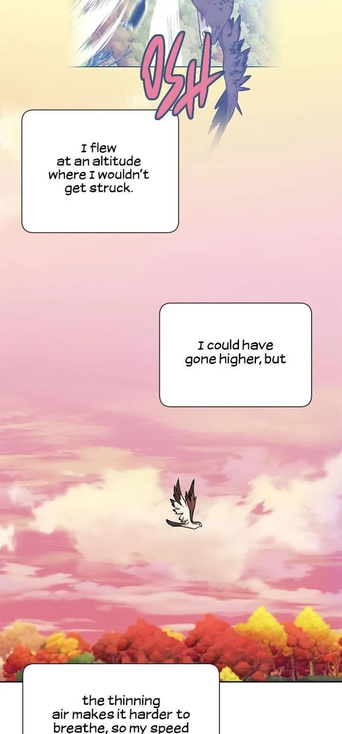Read CARRIER FALCON PRINCESS chapter 15 image 37 on Lezhin