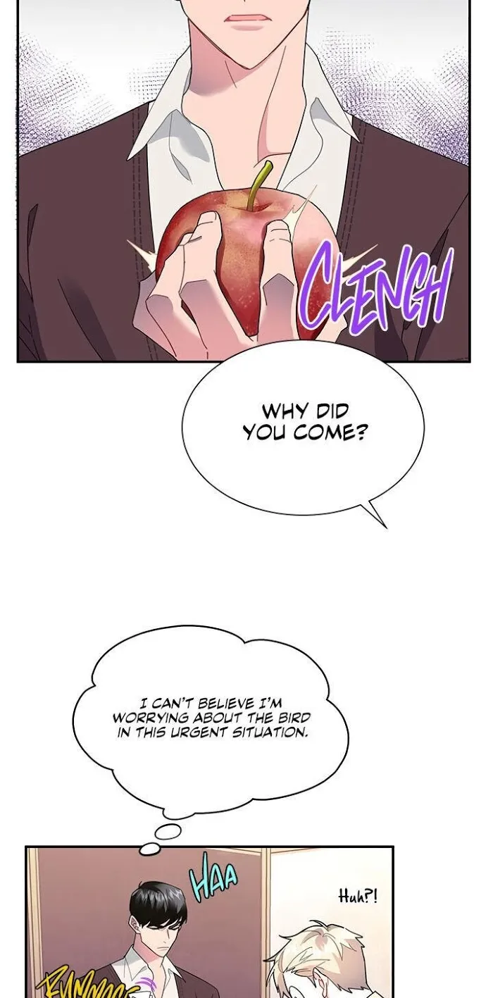 Read CARRIER FALCON PRINCESS chapter 19 image 11 on Lezhin