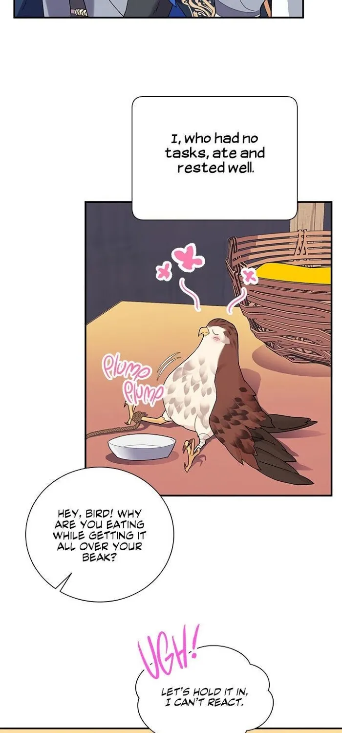 Read CARRIER FALCON PRINCESS chapter 19 image 30 on Lezhin