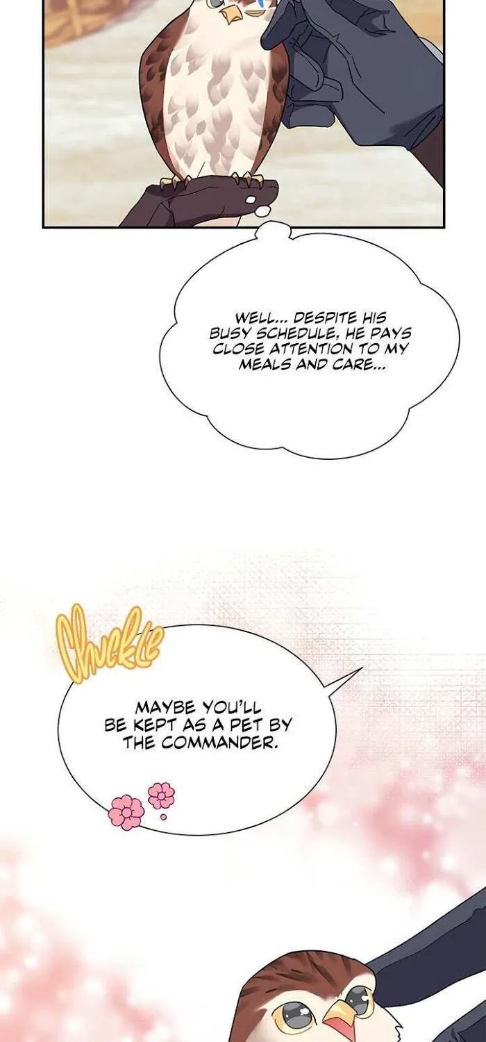 Read CARRIER FALCON PRINCESS chapter 20 image 10 on Lezhin