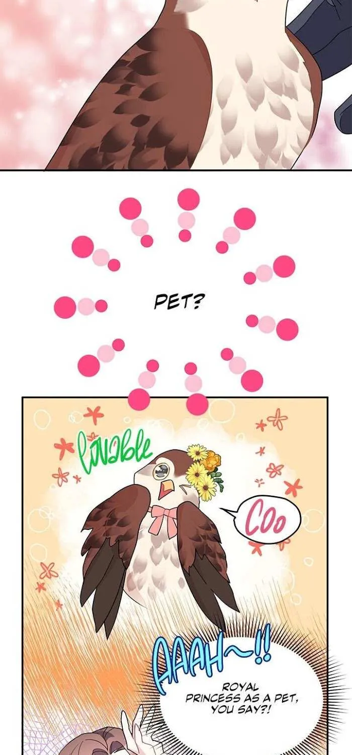 Read CARRIER FALCON PRINCESS chapter 20 image 11 on Lezhin