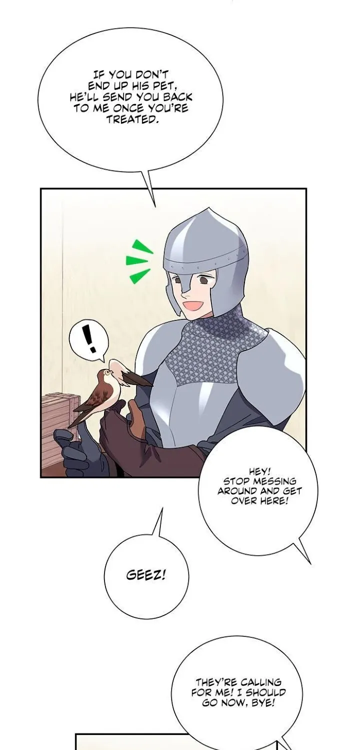 Read CARRIER FALCON PRINCESS chapter 20 image 13 on Lezhin