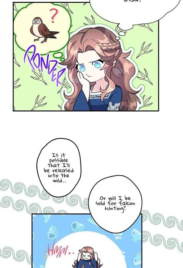 Read CARRIER FALCON PRINCESS chapter 20 image 17 on Lezhin