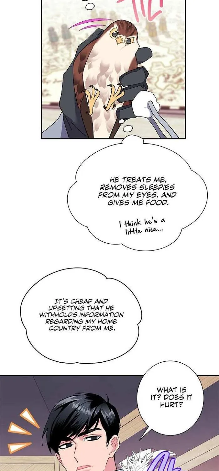 Read CARRIER FALCON PRINCESS chapter 20 image 21 on Lezhin